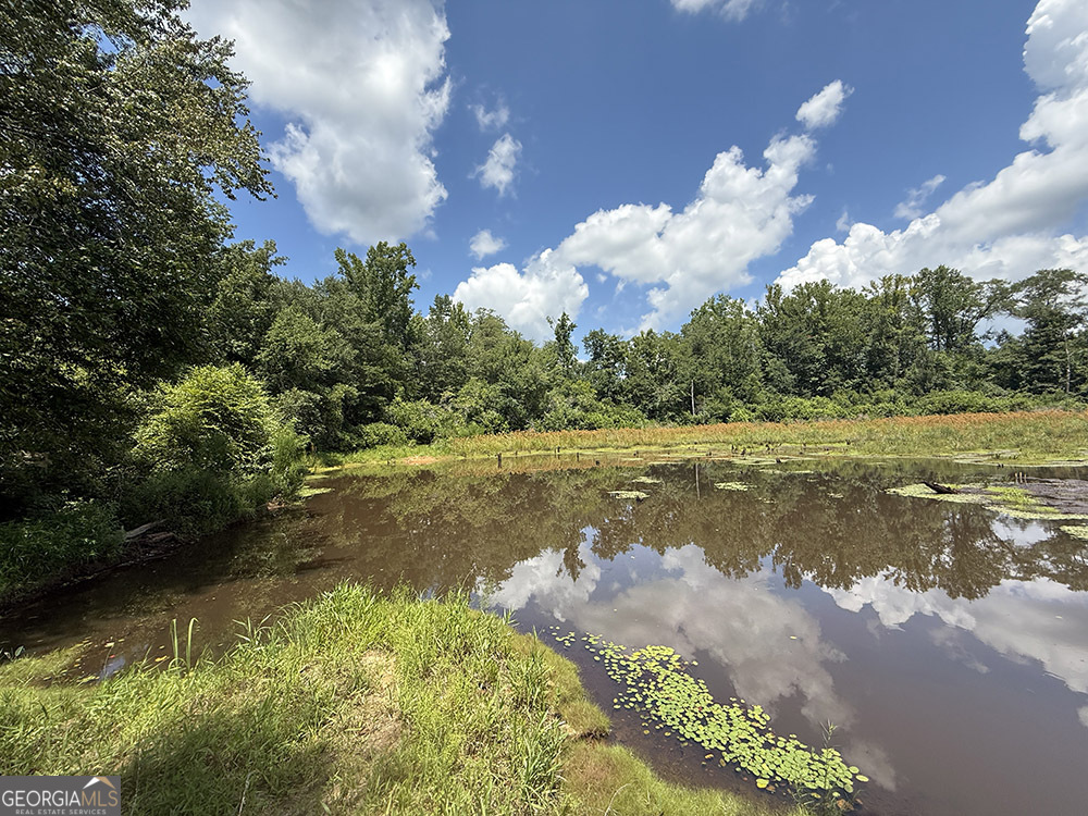 0 Fox Creek Road Preston, GA 31824 - Photo 15 of 15 a view of a lake in between two of trees