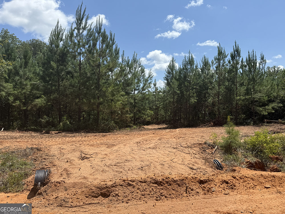 0 Fox Creek Road Preston, GA 31824 - Photo 2 of 15 a view of empty space and covered with snow in middle of forest
