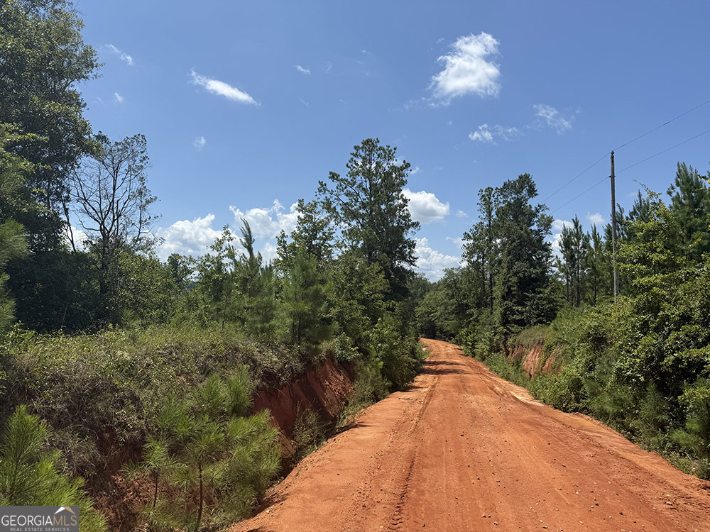 0 Fox Creek Road Preston, GA 31824 - Photo 3 of 15 a view of a balcony with a tree