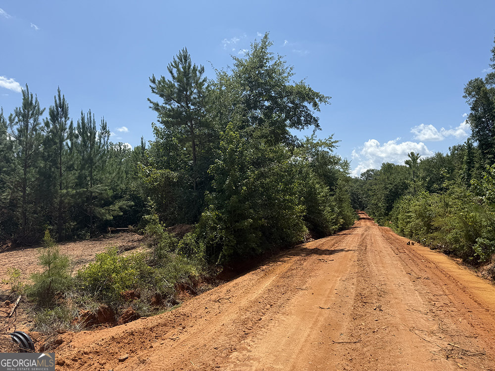 0 Fox Creek Road Preston, GA 31824 - Photo 4 of 15 a view of a backyard of the house