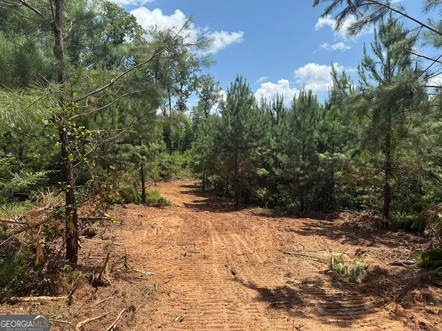 a view of a yard with trees in the background