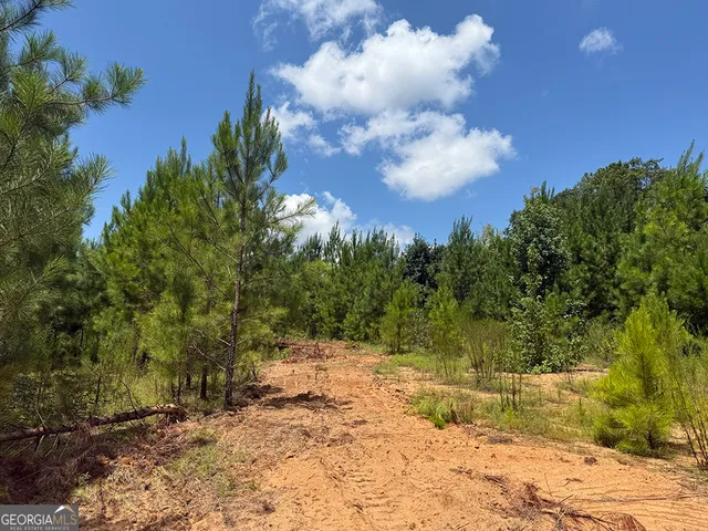 a view of empty space and trees all around