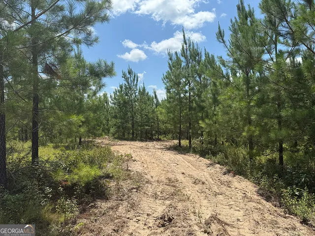 a view of a yard with plants and trees