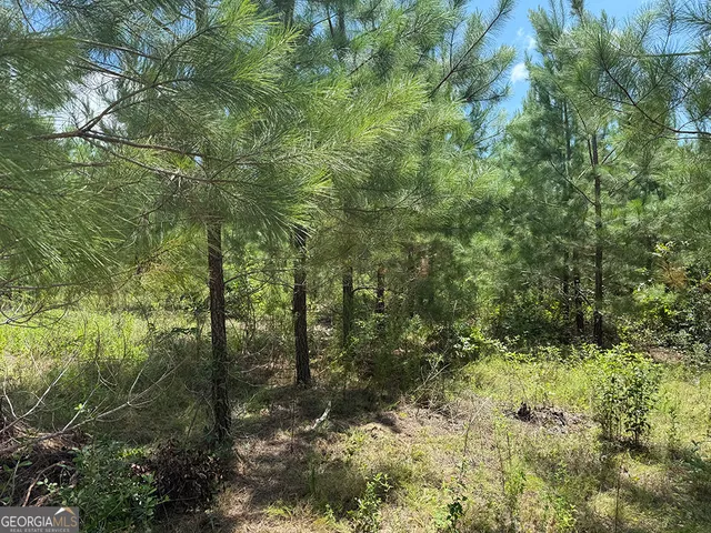 a view of outdoor space with trees