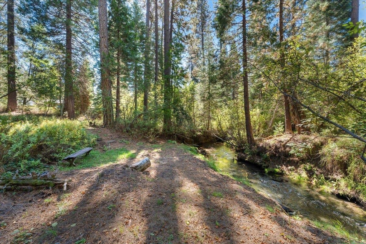 2101 Memeo Road McCloud, CA 96057 - Photo 28 of 34 Gallery Image 28