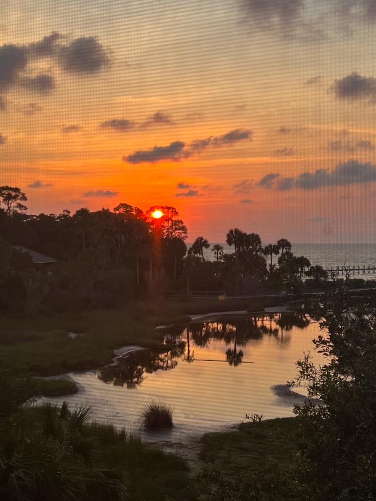 2223 Egret Point Road Eastpoint, FL 32328 - Photo 41 of 75