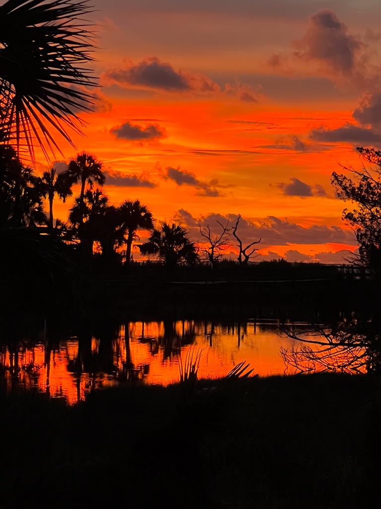 2223 Egret Point Road Eastpoint, FL 32328 - Photo 43 of 75