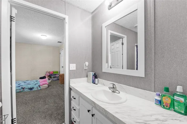 a bathroom with a sink vanity and a mirror