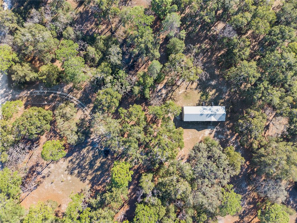 18625 Deason Drive Spring Hill, FL 34610 - Photo 29 of 35