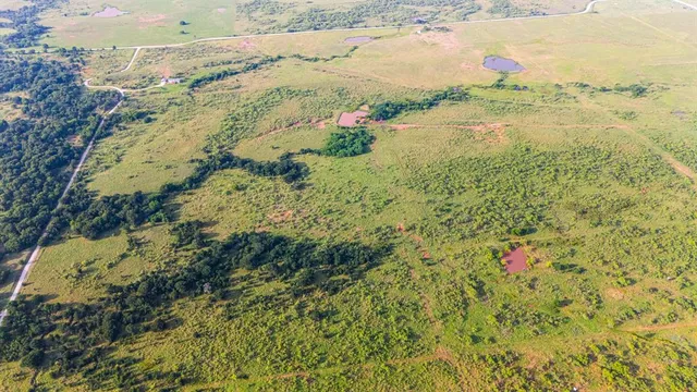 $450,000 | 6-50 Acres Boren Road, Ringgold, TX 76261