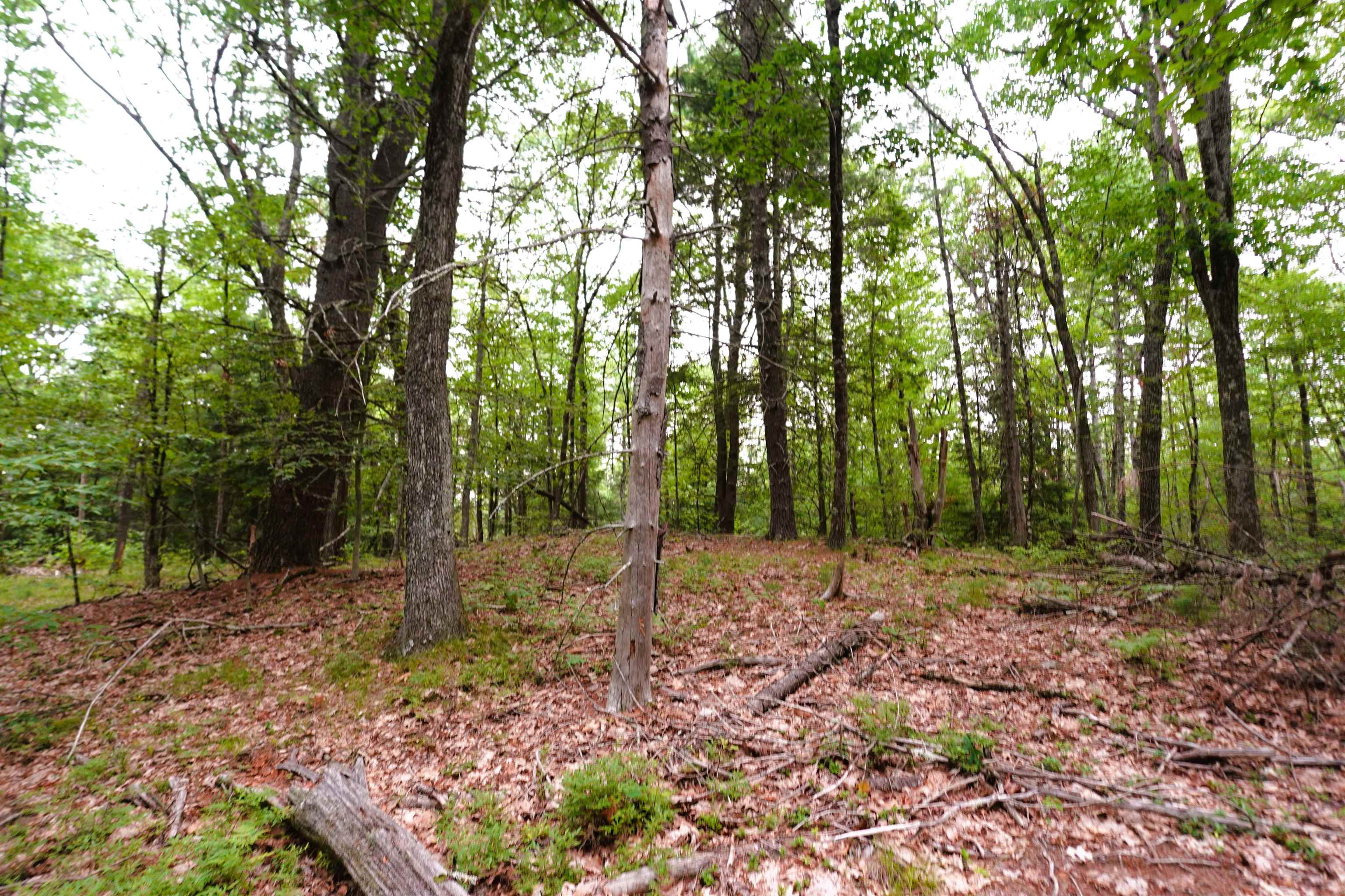 0 Burt Hill Road Winchester, NH 03470 - Photo 22 of 32