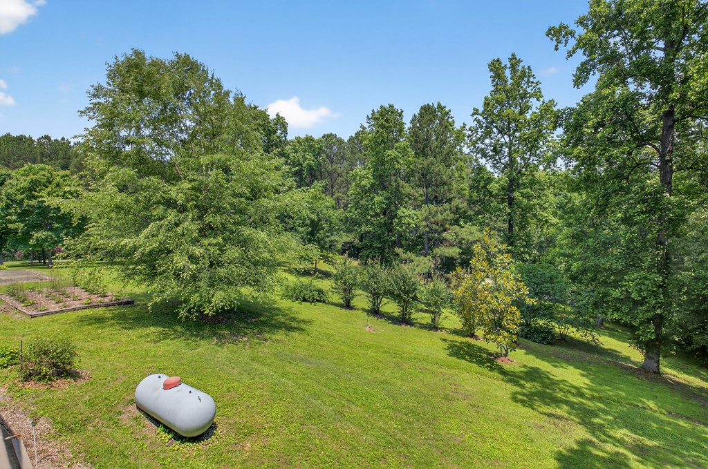 1398 Antioch Church Road Talking Rock, GA 30175 - Photo 47 of 80 View overlooking backyard