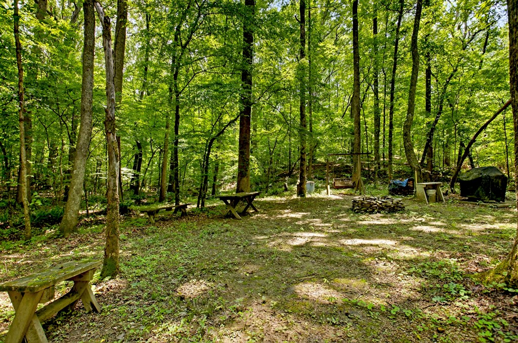 1398 Antioch Church Road Talking Rock, GA 30175 - Photo 51 of 80 Park-like area along small creek
