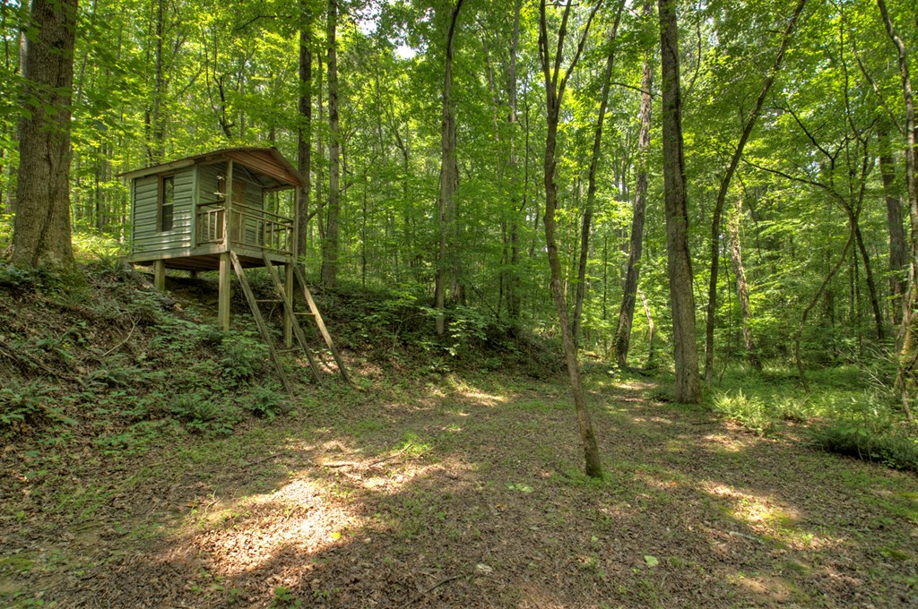 1398 Antioch Church Road Talking Rock, GA 30175 - Photo 55 of 80 Tree house at park-like area