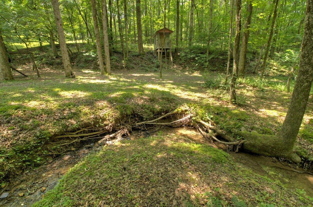 1398 Antioch Church Road Talking Rock, GA 30175 - Photo 56 of 80