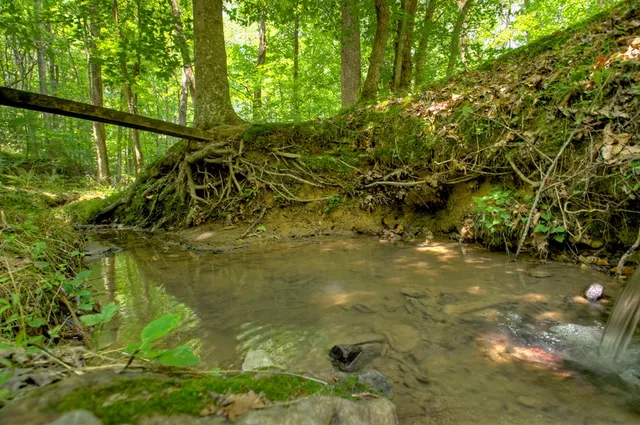 $1,875,000 | 1398 Antioch Church Road, Talking Rock, GA 30175