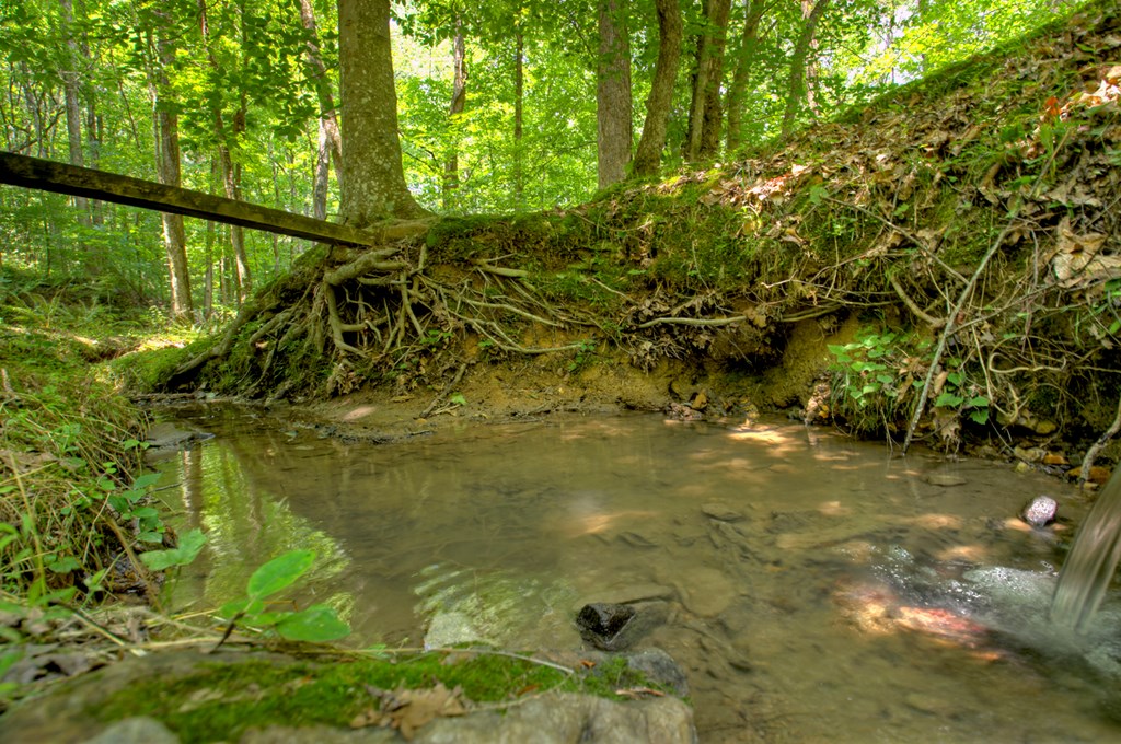1398 Antioch Church Road Talking Rock, GA 30175 - Photo 57 of 80 Creek that runs through the property