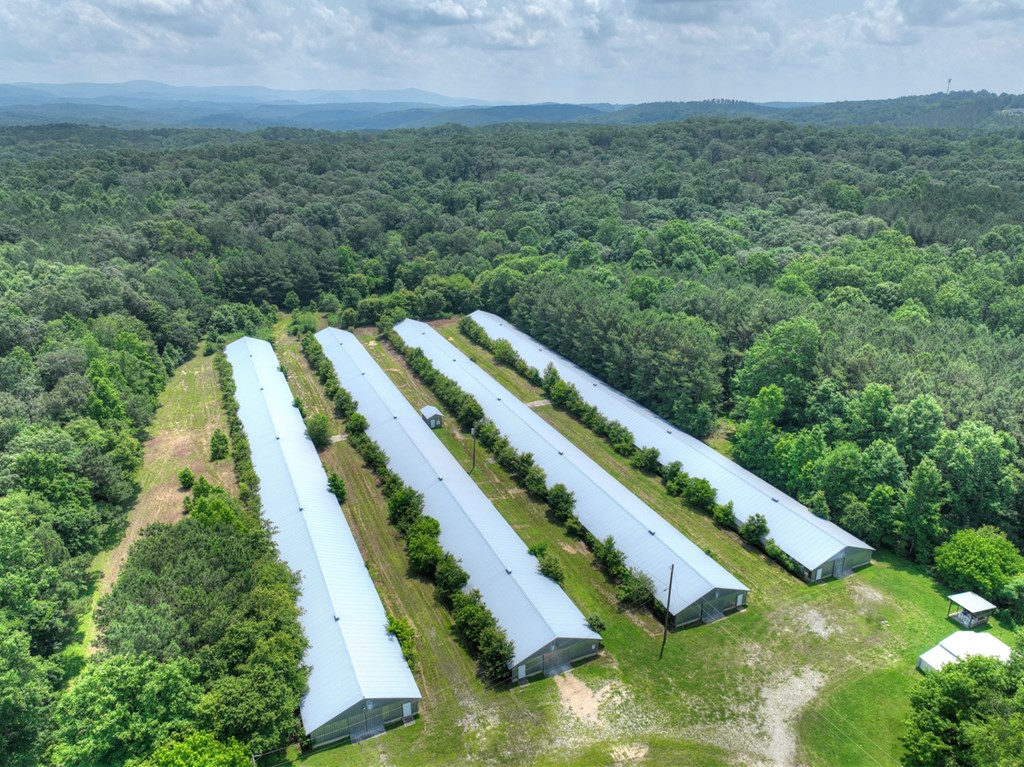 1398 Antioch Church Road Talking Rock, GA 30175 - Photo 66 of 80 Aerial of four of the six poultry houses