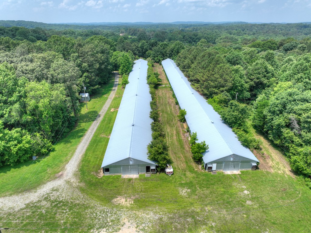 1398 Antioch Church Road Talking Rock, GA 30175 - Photo 68 of 80
