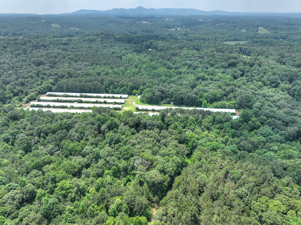 1398 Antioch Church Road Talking Rock, GA 30175 - Photo 69 of 80