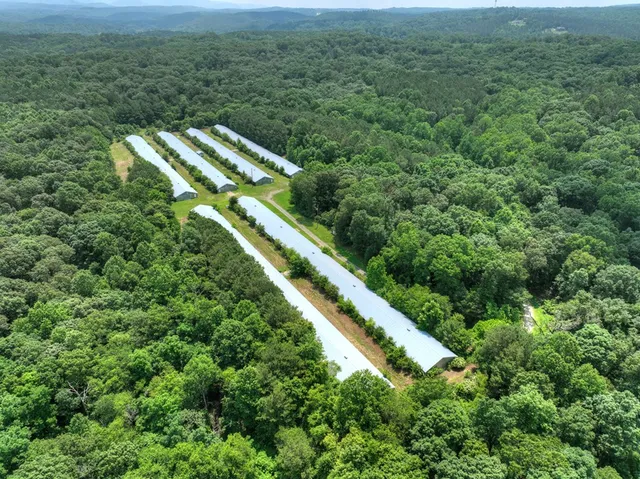 $1,875,000 | 1398 Antioch Church Road, Talking Rock, GA 30175