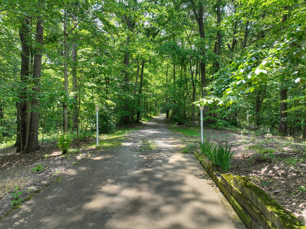 1398 Antioch Church Road Talking Rock, GA 30175 - Photo 76 of 80