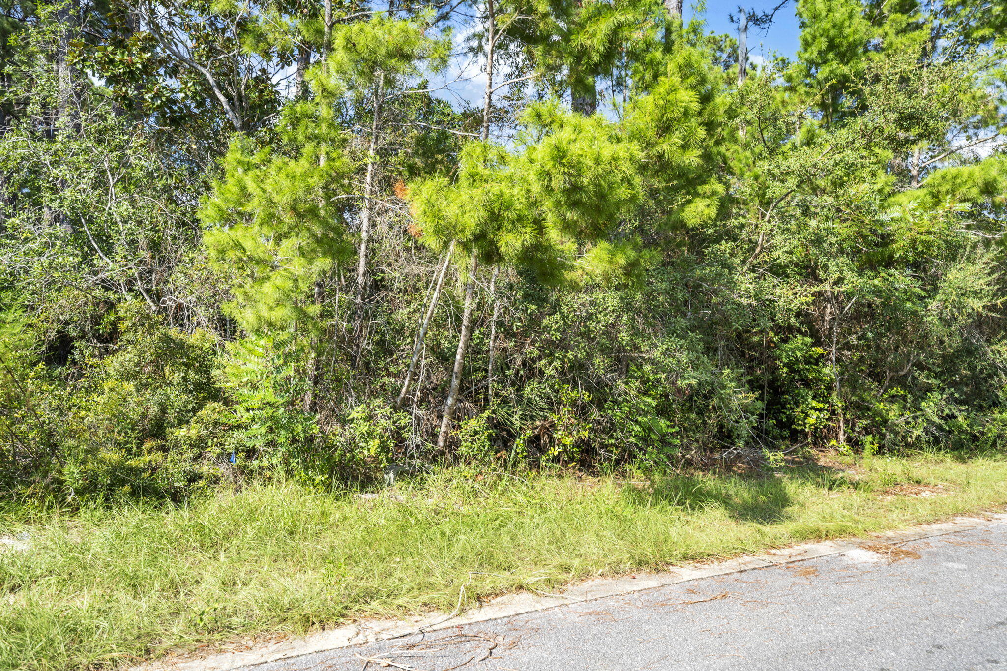 Lot 23 Greenbriar Lane Santa Rosa Beach, FL 32459 - Photo 9 of 10 12-web-or-mls-DSC09063