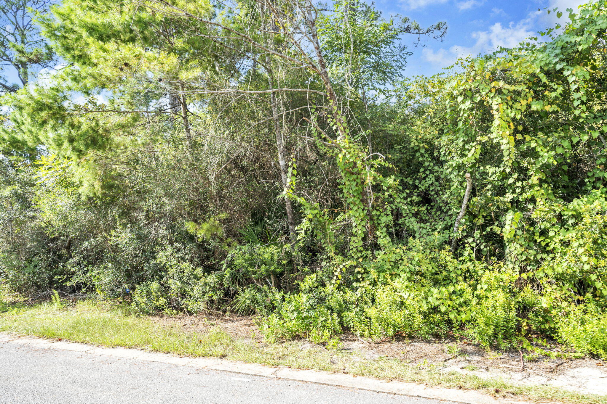 Lot 23 Greenbriar Lane Santa Rosa Beach, FL 32459 - Photo 10 of 10 14-web-or-mls-DSC09065