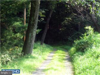 1268 Eagle Road New Hope, PA 18938 - Photo 2 of 6