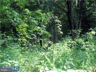1268 Eagle Road New Hope, PA 18938 - Photo 3 of 6