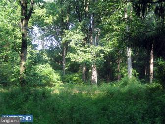 1268 Eagle Road New Hope, PA 18938 - Photo 5 of 6