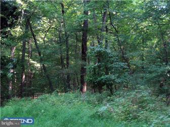 1268 Eagle Road New Hope, PA 18938 - Photo 6 of 6