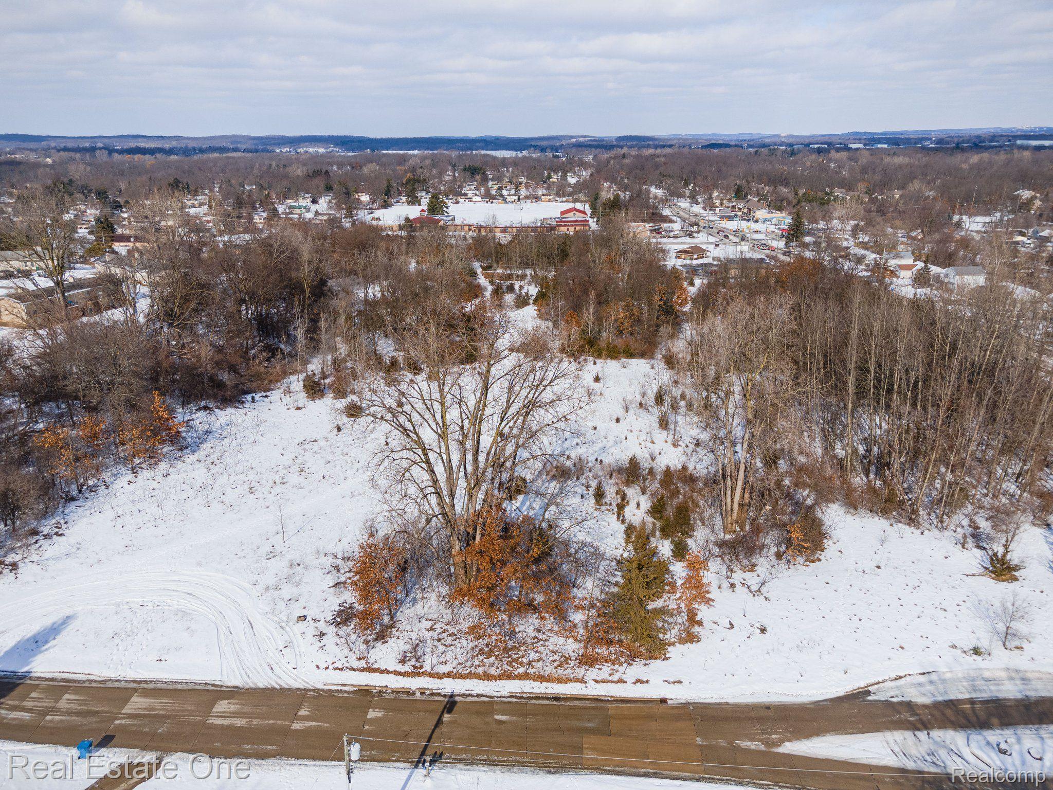 0 Williams Lake Road White Lake, MI 48386 - Photo 6 of 13