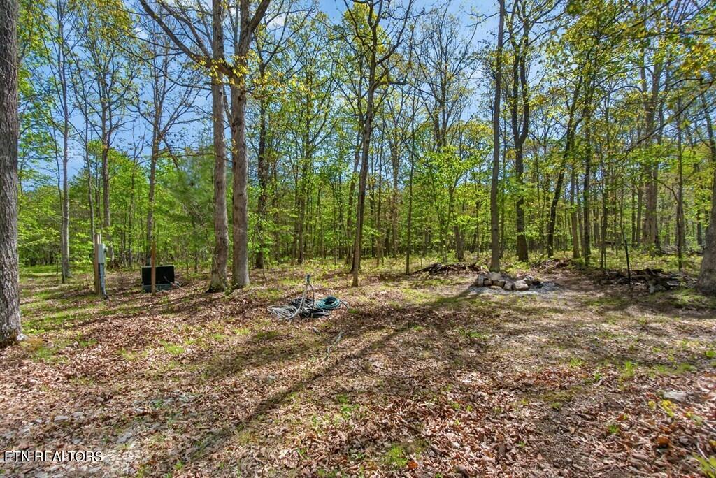 751 West Bluff Road Pikeville, TN 37367 - Photo 18 of 19 243828_16