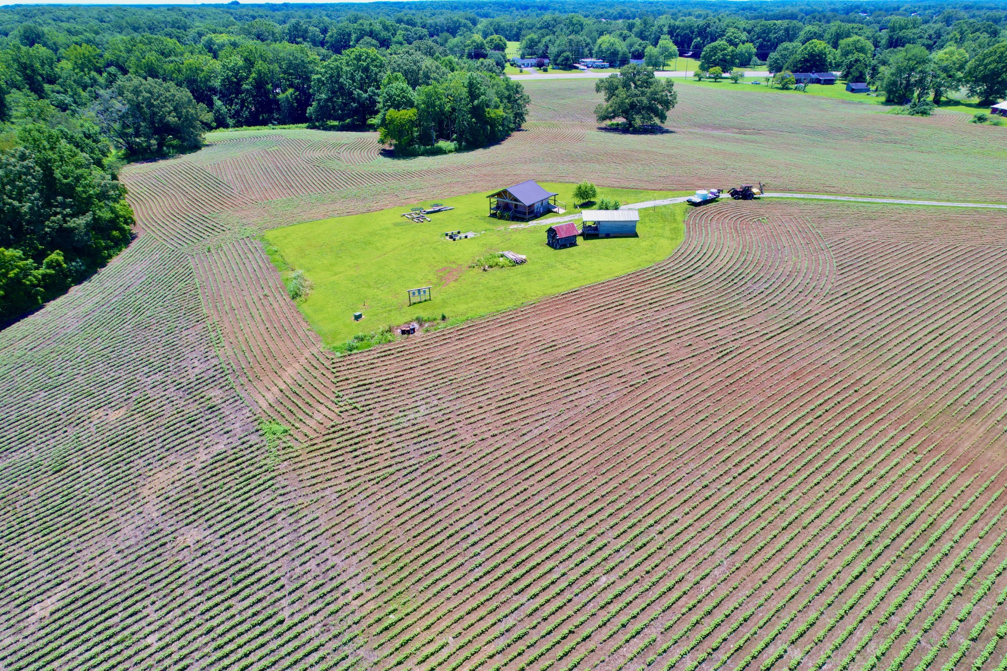 8 Lambs Ferry Road Leoma, TN 38468 - Photo 40 of 53