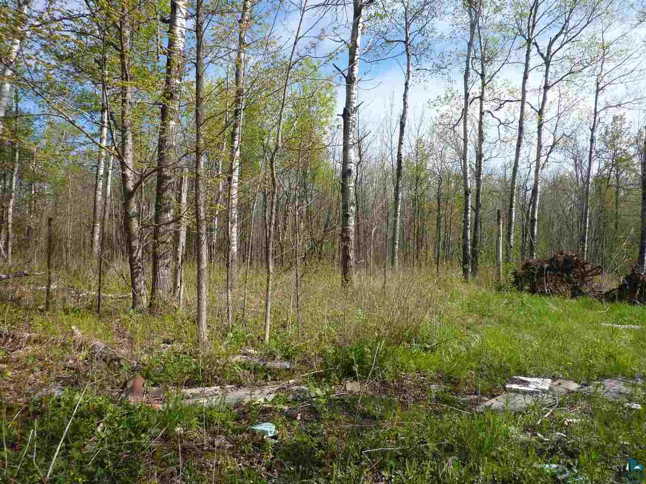 Xxx St Louis River Road Duluth, MN 55810 - Photo 2 of 6 Gallery Image 2