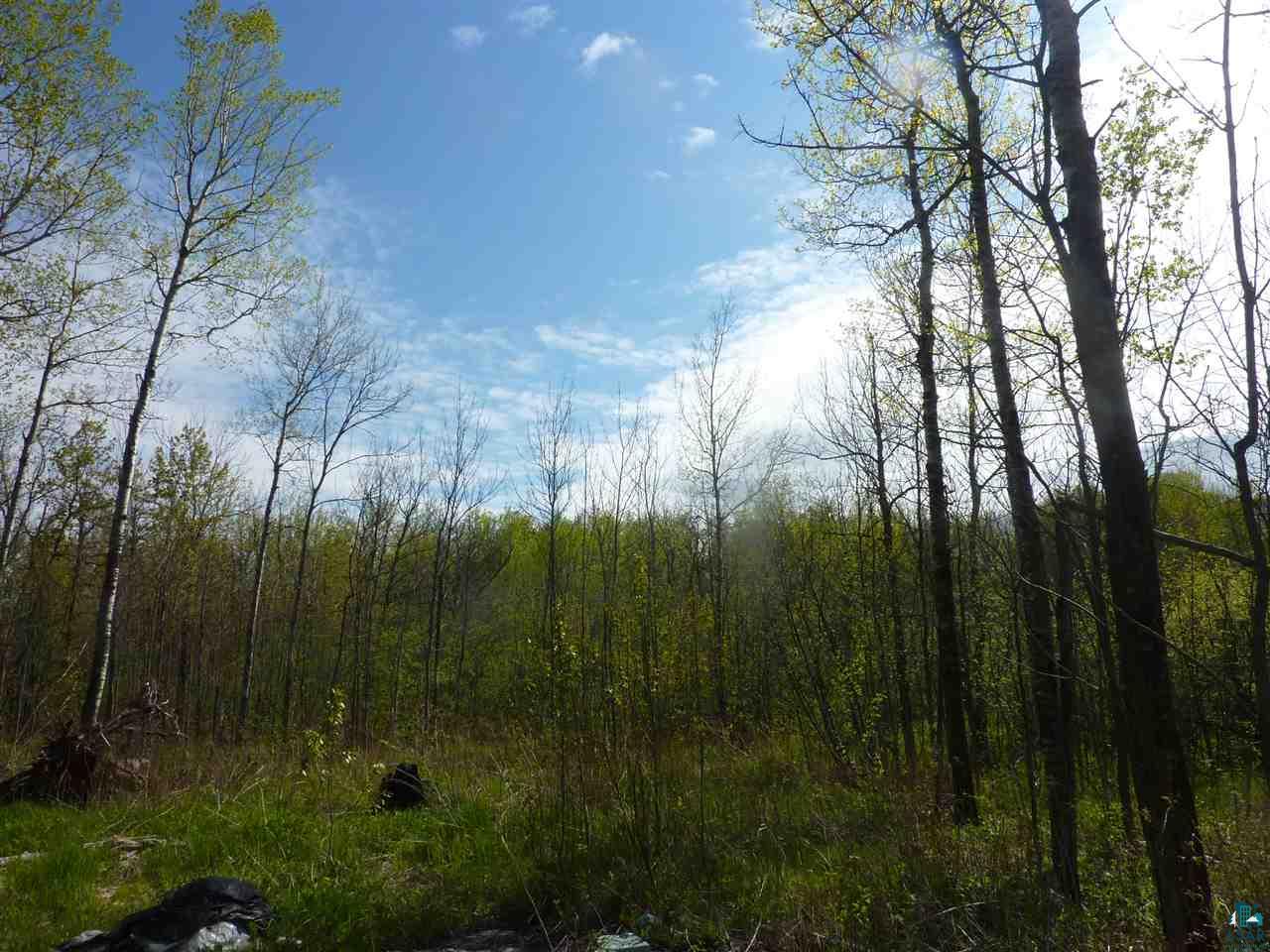 Xxx St Louis River Road Duluth, MN 55810 - Photo 3 of 6 Gallery Image 3