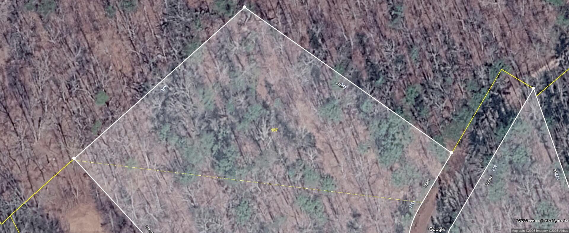 157 Lower Brow Road Dunlap, TN 37327 - Photo 3 of 4
