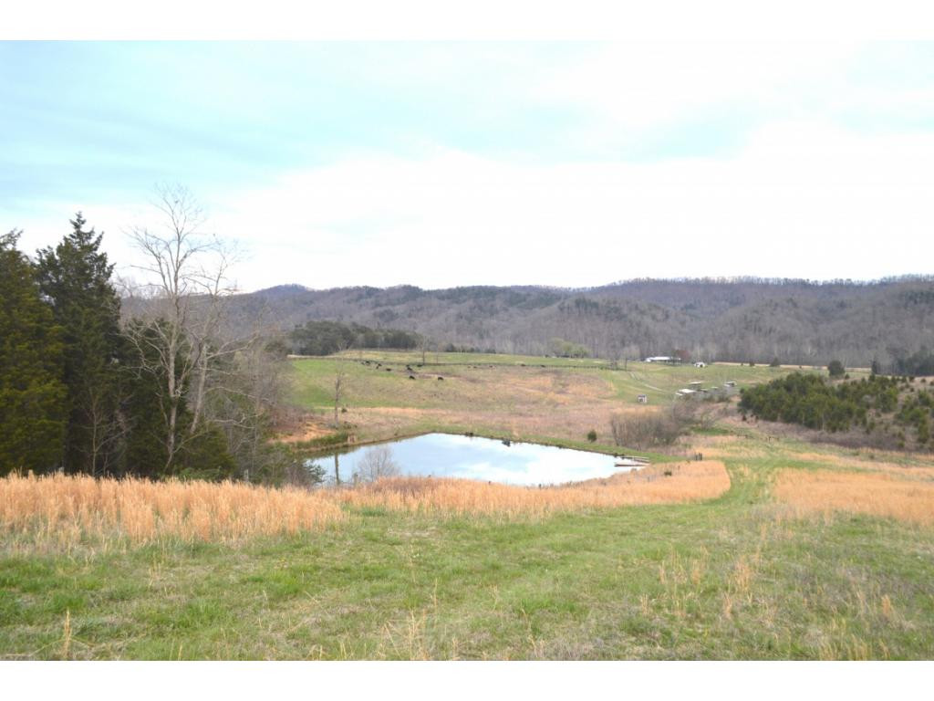 625 Speedwell Road Rogersville, TN 37857 - Photo 8 of 22 Photo 8