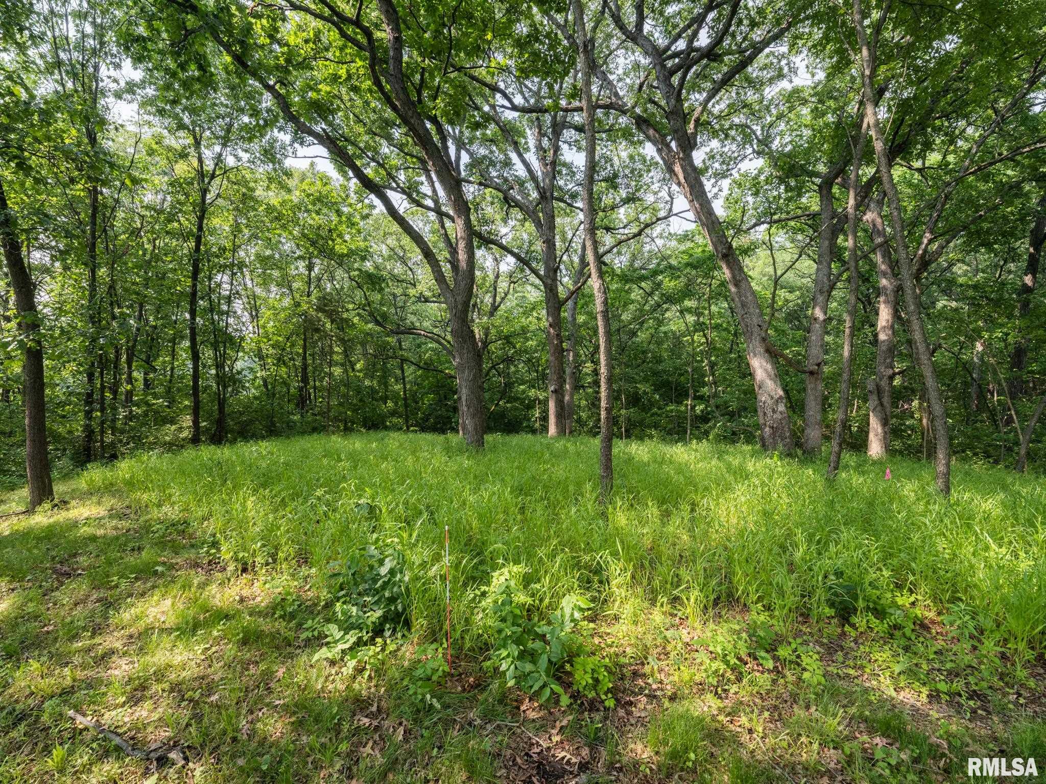 3041 Zion Oaks Road Pekin, IL 61554 - Photo 8 of 26 Gallery Image 8