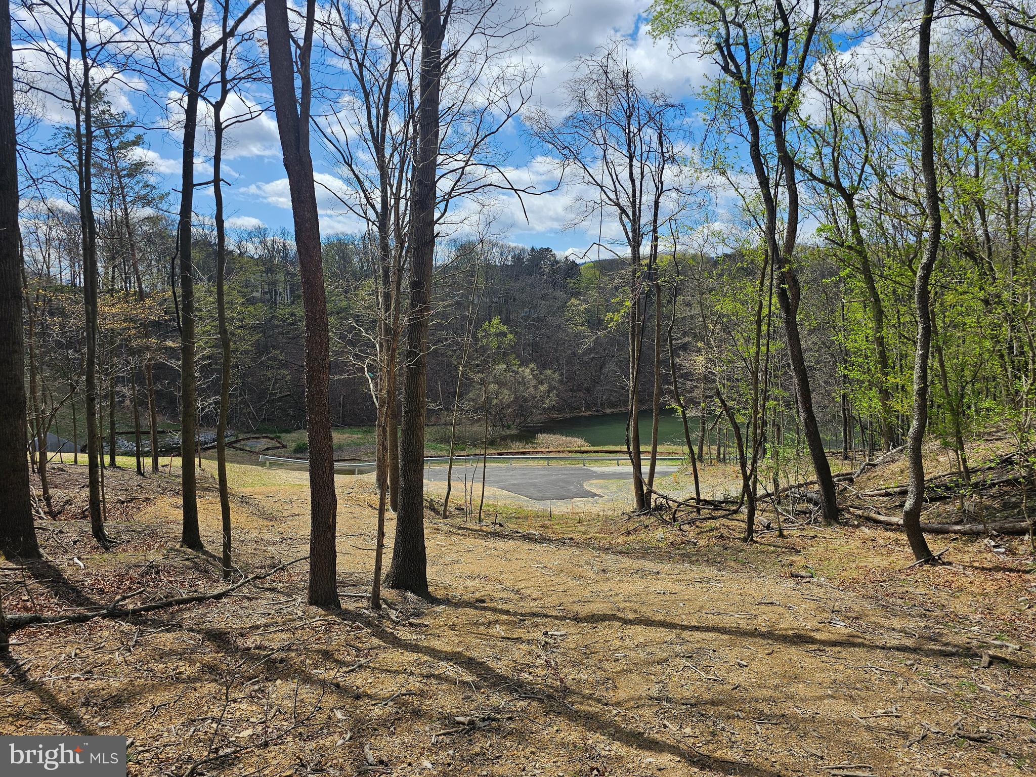 Racers Lane Berkeley Springs, WV 25411 - Photo 5 of 24 a view of a backyard