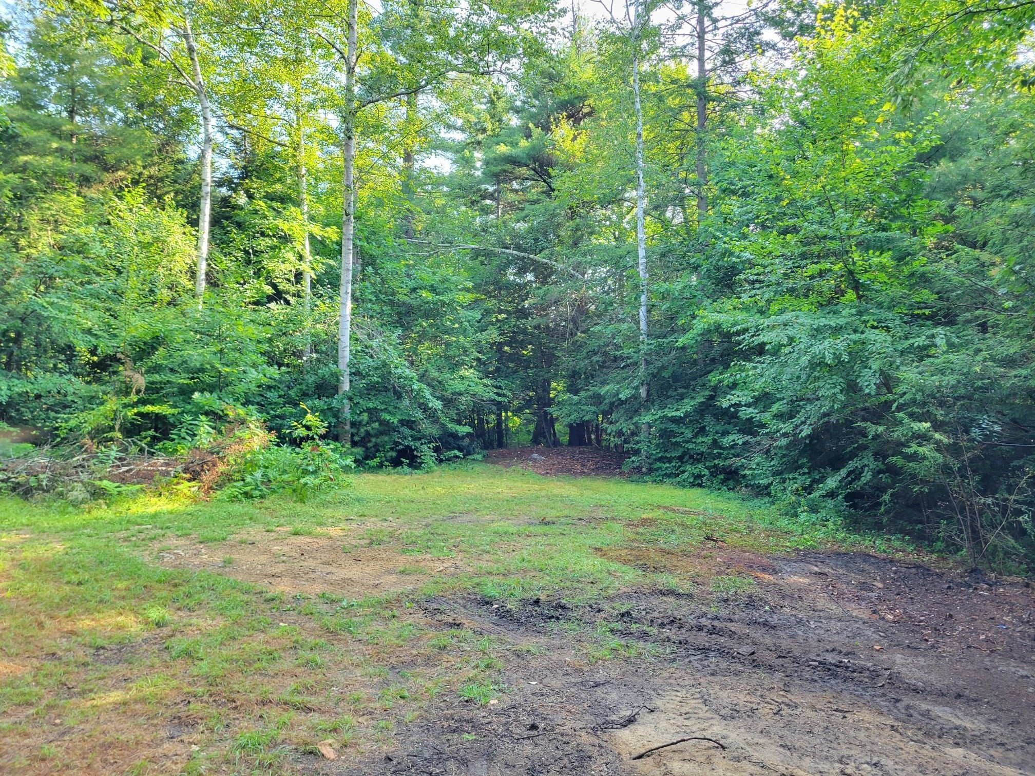 423 Ashby Road Ashburnham, MA 01430 - Photo 4 of 4 Gallery Image 4