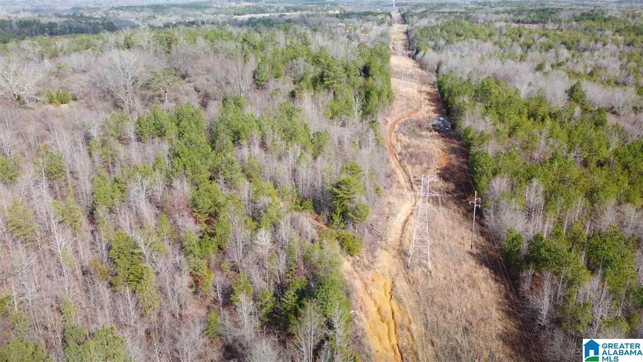Landmark Road Talladega, AL 35160 - Photo 2 of 8
