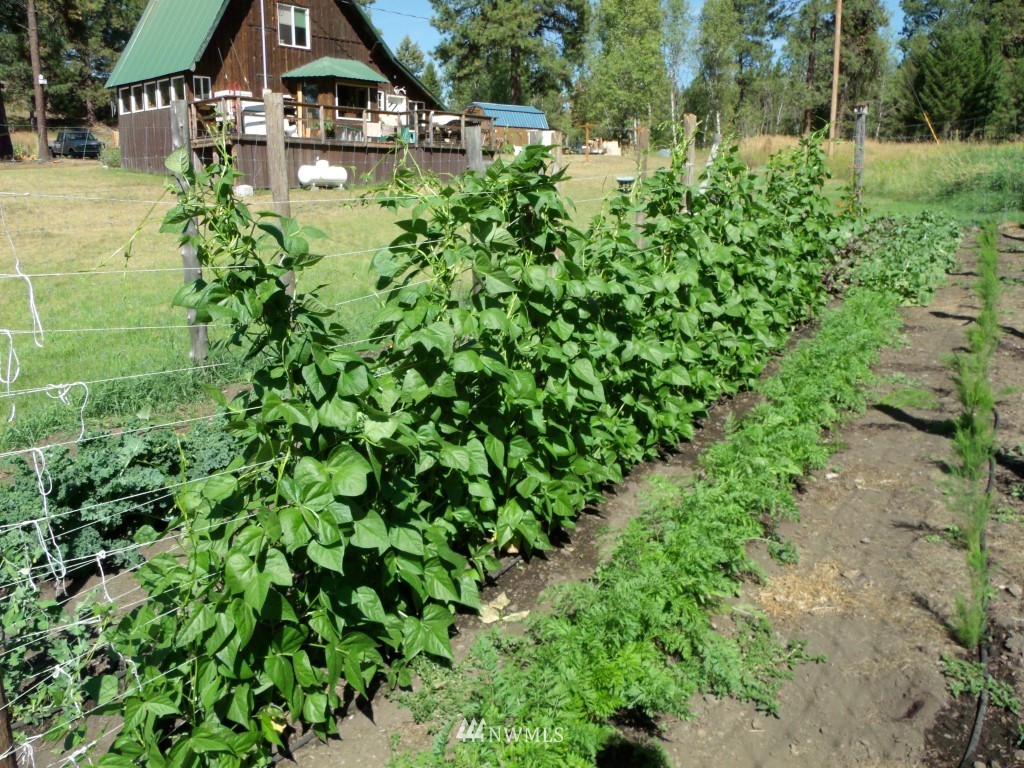 77 Rose Ridge Lane Republic, WA 99166 - Photo 20 of 25 Gallery Image 20
