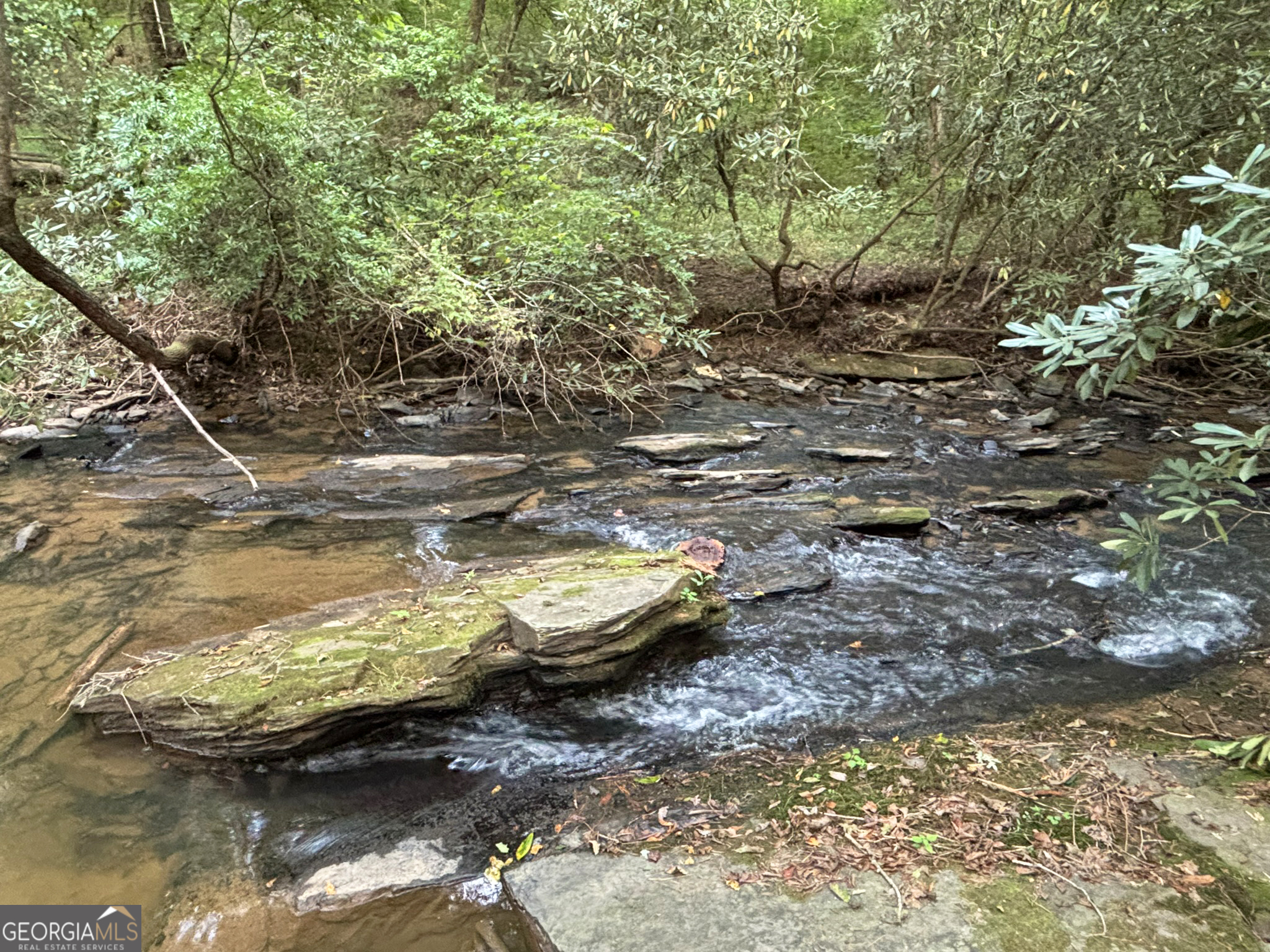 396 Mt Springer Road Ellijay, GA 30540 - Photo 13 of 50