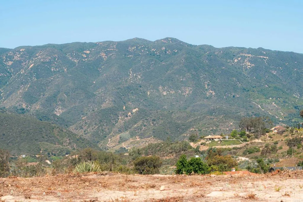 27 Daily Fallbrook, CA 92028 - Photo 30 of 34 a view of a yard with a mountain