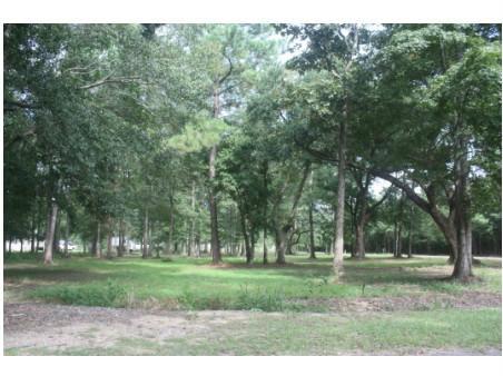 0 Les Stewart Road Tickfaw, LA 70466 - Photo 8 of 8 Gallery Image 8