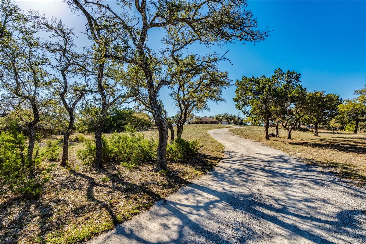 9763 Ranch Road 1623 Blanco, TX 78606 - Photo 8 of 40 a view of a yard with plants and trees