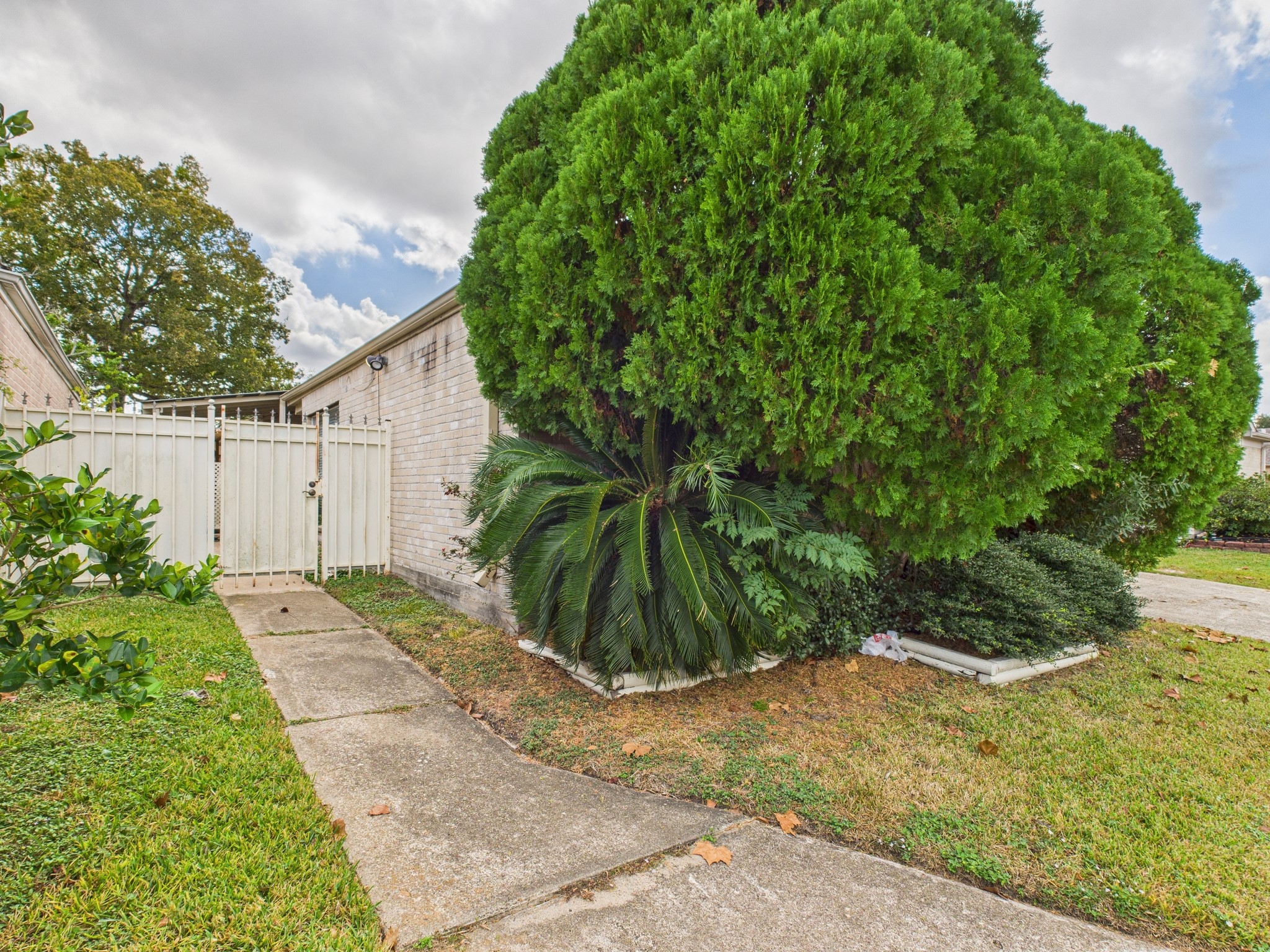 7611 Hopewell Lane Houston, TX 77071 - Photo 3 of 30 a view of a plant in front of house