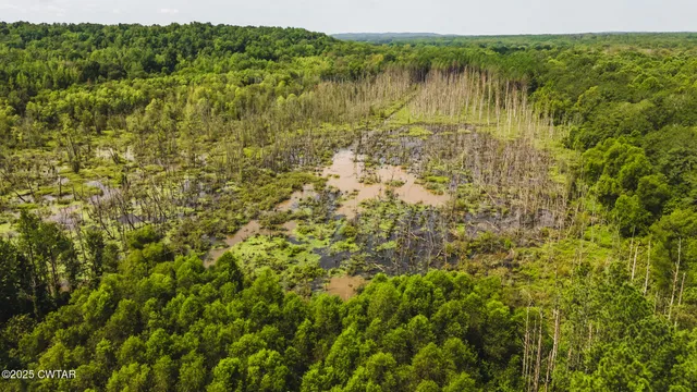a view of a lake with top of house
